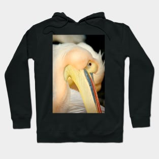 Proud Of Its Beak Hoodie